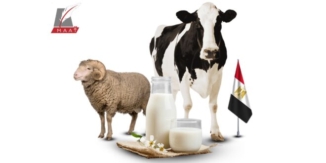 مصر تؤمن أمنها الغذائي في قطاع الثروة الحيوانية