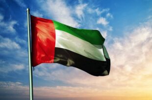 الإمارات: دور محوري للسعودية في تحقيق الاستقرار والأمن لليمن