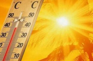 «الأرصاد»: ارتفاع درجات الحرارة العظمى في منطقتي الشرقية والمدينة