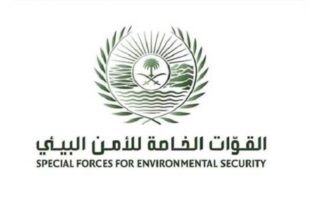 ضبط 3 مواطنين خالفوا نظام البيئة في الرياض والقصيم