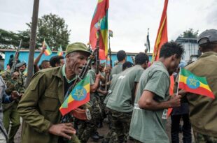 إثيوبيا: تشكيل لجنة للتفاوض مع قوات تيجراي