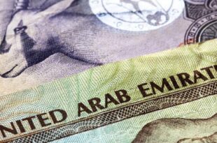 الإمارات تجمع 1.5 مليار درهم في ثاني طرح لسندات اتحادية