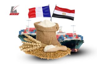القمح الفرنسي.. مسار جديد لمصر بعد الأزمة الأوكرانية
