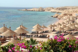 مصر تطلق "شرم الشيخ الخضراء" كمدينة سياحية استثمارية عالمية  في "كوب 27"