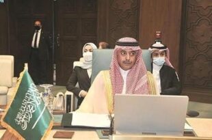 مندوب المملكة لدى الجامعة العربية: التنسيق السعودي المصري مهم للتصدي لأزمات تهدد الأمن العربي