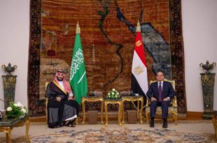 ولي العهد السعودي والرئيس المصري يعقدان جلسة مباحثات