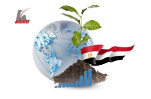 ماذا حققت صادرات مصر من الحاصلات الزراعية بموسم 2021/ 2022؟