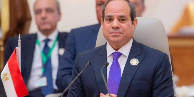 رئيس مصر: إعلاء المصلحة الوطنية الضامن لاستدامة الاستقرار