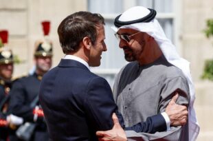 الرئيس الإماراتي يؤكد لماكرون دعم أبوظبي لأمن الطاقة في فرنسا