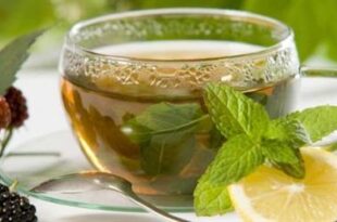دراسة حديثة تكشف عن فائدة جديدة للشاي الأخضر بخلاف حرق الدهون