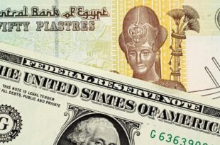 الجنيه المصري يسجل أدنى مستوى في أكثر من 5 أعوام مقابل الدولار