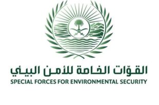 ضبط مخالفَين لتلويثهما البيئة بحرق مخلفات صناعية في جدة
