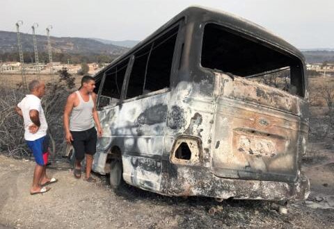 ارتفاع حصيلة ضحايا حرائق الغابات بالجزائر إلى 41 شخصاً