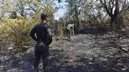 مقتل ثلاثة من رجال الإطفاء في حادث خلال مكافحة حريق غابات بالمغرب
