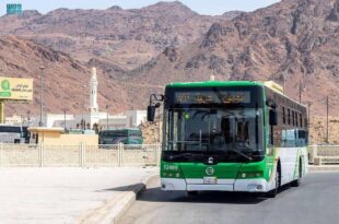 106 مسارات و27 حافلة بالنقل العام في طيبة