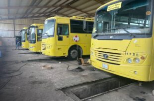 160 حافلة جاهزة لنقل طلاب الأحساء