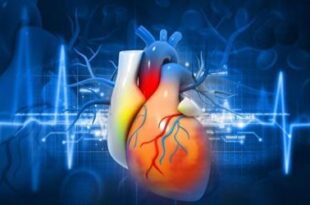 باحثون: تصميم أول لقاح في التاريخ لأمراض القلب الوراثية خلال السنوات الـ 5 المقبلة