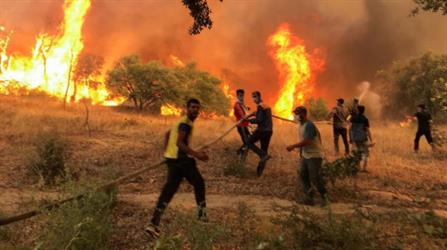 مصرع 26 شخصًا في حرائق واسعة شرق الجزائر (فيديو)