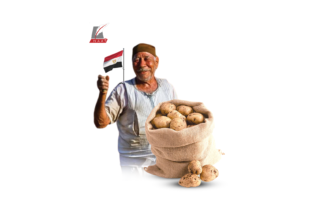 قفزة في صادرات مصر الزراعية 2022