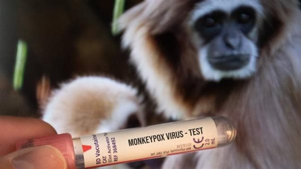 تحليل فيروس جدري القردة