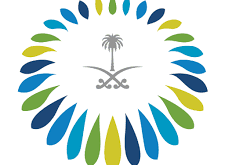 وظائف شاغرة بـ المركز السعودي للشراكات الاستراتيجية - المواطن