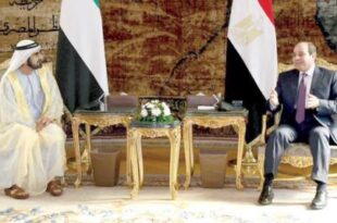 السيسي وبن راشد يؤكدان عمق العلاقات بين مصر والإمارات