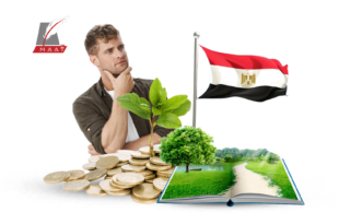 كيف تستثمر مصر في المشروعات الخضراء؟