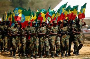 الحكومة الاثيوبية تؤكد أن الجيش الاتحادي يسيطر على سبعين بالمئة من أراضي تيغراي