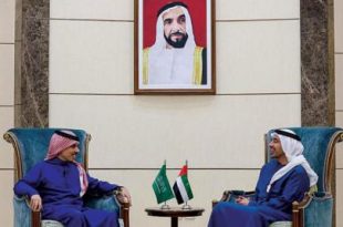 عبد الله بن زايد: شراكة الإمارات والسعودية استراتيجية ومستدامة