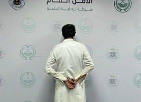 القبض على مواطن لنقله 7 مخالفين لأمن الحدود في الباحة