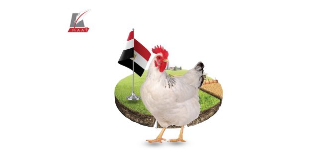 مشروعات تقيمها مصر بالوجة القبلي لتحقيق الأمن الغذائي