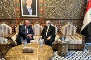 وزير الخارجية المصري يصل إلى سوريا