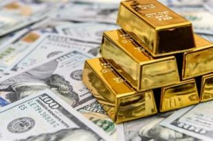 هبوط أسعار الذهب جراء ارتفاع الدولار ومخاوف من ارتفاع سعر الفائدة