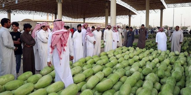 99 % نسبة الاكتفاء الذاتي من البطيخ في السعودية