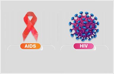 ما الفرق بين فيروس نقص المناعة البشرية HIV والإيدز ؟