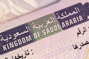 بينها مصر والأردن.. السعودية تطلق خدمة التأشيرة الإلكترونية بـ7 دول