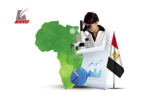 بالأرقام.. مصر تتصدر أفريقيا في مجال النشر العلمي