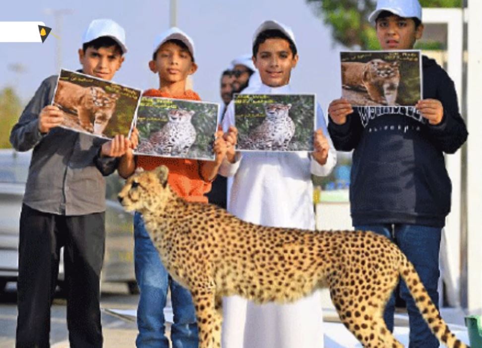 النمر العربي مهدد بالانقراض